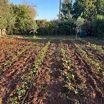 בית נופש Dimore Opuntia