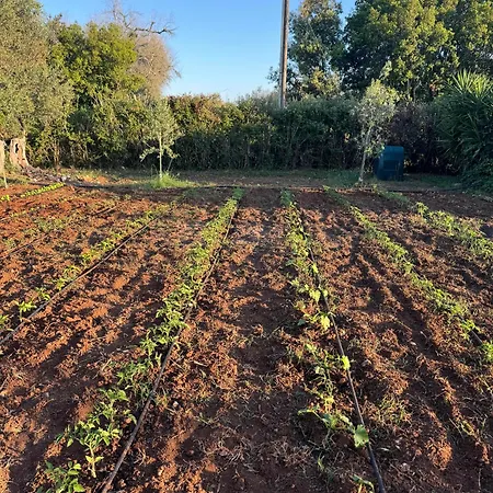 Semesterbostad Dimore Opuntia